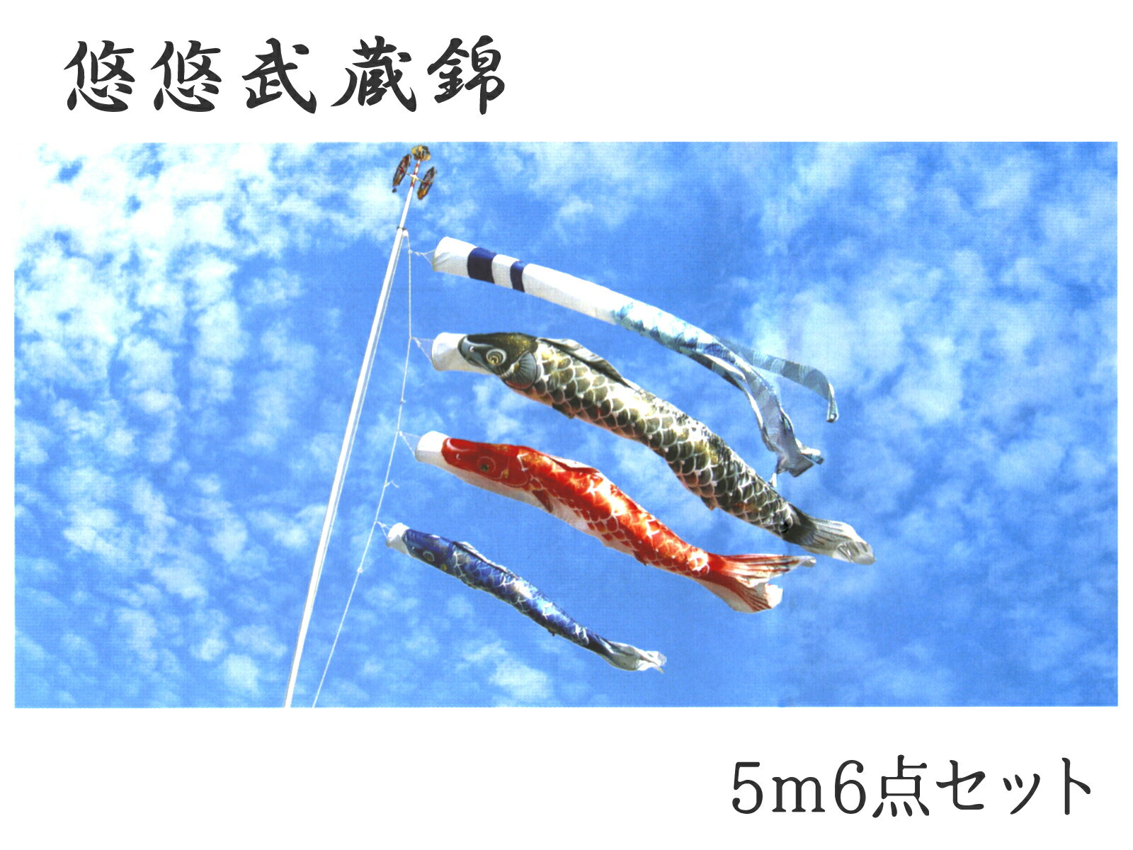 こいのぼり 悠悠武蔵錦 5m6点セット ポリエステルサテン 撥水加工 2020年鯉のぼり EU0056MS【紋入れ・名入れ可(別途料金)】【本州以外は送料サイズA加算】