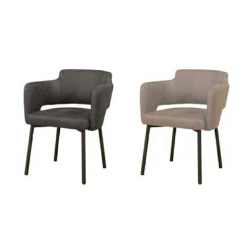 ブランチ アームチェア 同色2脚セット BK GY 筑波産商