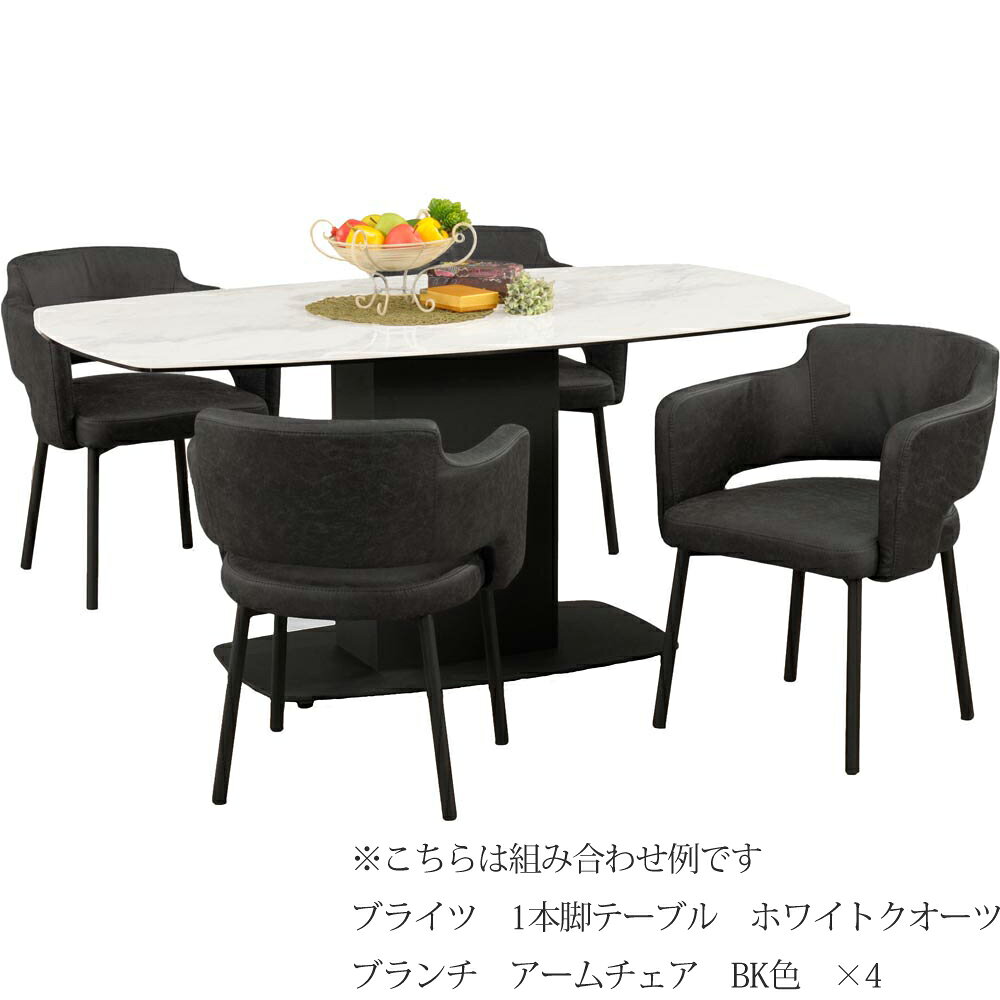 ブランチ アームチェア 同色2脚セット BK GY 筑波産商 [3]
