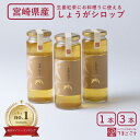 数量限定!生姜シロップ(240g×1・3本)宮崎県 九州 国産 ジンジャー 温活 冷え性対策 温め 無添加 無着色 天然 自然 風邪予防 免疫 健康 ジンジャー...
