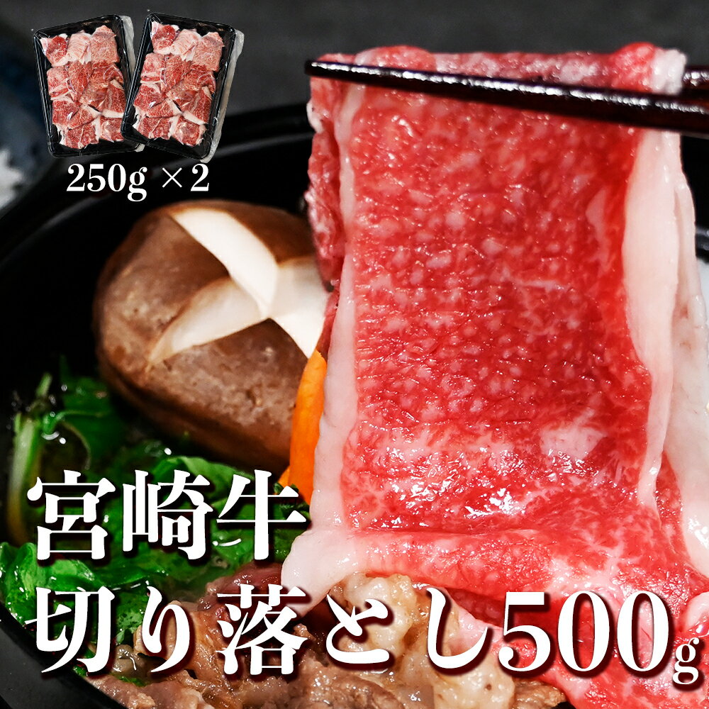 【楽天スーパーSALE58%OFF】 訳あり 黒毛和牛 切り落とし 500g 和牛 ばら かた 牛肉 すきやき A5 A4 お取り寄せ 宮崎牛 切り落とし500g(250g×2パック) 母の日 ギフト