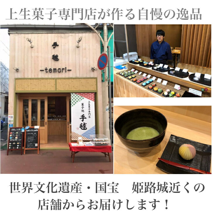 柴犬上生菓子母の日バージョン6個入練りきり和菓子上生菓子生菓子スイートポテトいちごこし餡柴犬豆しば黒柴赤柴白柴父の日お返し