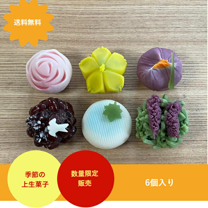 5月の上生菓子　6個入　練りきり　和菓子　上生菓子　生菓子　おうちスイーツ　おうちカフェ　お祝い　季節の花