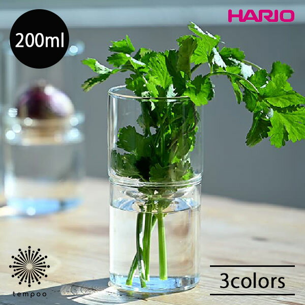 HARIO ガラスの花器 GK-200 花瓶 200ml 耐熱ガラス クリア 透明 ブラック 植物 花 水耕栽培 多肉植物 ハーブ ガラスのある生活 雑貨 ハリオ ギフト プレゼントのサムネイル