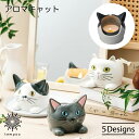 セトクラフト アロマキャット アロマキャンドル ネコ 陶器 ニューボン ハチワレ スコティッシュ ミケ ペルシャ クロ ジャスミン レモネードシトラス シトラス...