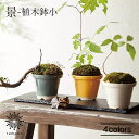 AITO 景 植木鉢小 アイトー ケイ 陶器 瀬戸焼 盆栽 観葉植物 多肉植物 ミニ 手のひらサイズ かわいい インテリア 雑貨 小物 お洒落 シンプル 映える...