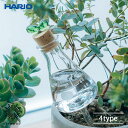 HARIO RELAXING プランターに挿す水やり器 PM 給水 三角フラスコ 耐熱ガラス コルク栓 植物 鉢 プランター 観葉植物 花 インテリア おしゃれ...