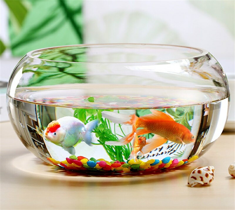 Yahoo!オークション - 火鉢 メダカ鉢 睡蓮鉢 金魚 - その他 Yahoo!オークション - 火鉢 メダカ鉢 睡蓮鉢 金魚 - その他