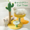 猫 多機能キャットタワー 爪とぎ 人気 サボテン ジャンプ台 サイザル麻巻き ねこ つめとぎ ネコ 爪とぎポール 爪研ぎ 爪みがき キャットツリー 猫用品 ペッ...