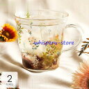 【楽天スーパーセール】キッチン用品 食器 お茶用品 コップ グラス 取っ手付き マグカップ コーヒーカップ ティーカップ 植物 花柄 リーフ クリアシンプル 高...