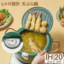 天ぷら鍋 ih対応 てんぷらなべ 天麩羅 蓋付き 天麩羅鍋 揚げ物鍋 揚げ物 両手天ぷら鍋 鉄鍋 鍋 温度制御 油切りラック 注ぎ口 省油 健康生活 ih対応 IH ガス 蓋付き 分解可能 丸洗い可能 洗いやすい レトログリーン レトロ 汎用性 頑丈 【20cm】