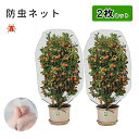 植物保護カバー 2個セット 防虫ネット 植物保護袋 野菜網 野菜栽培 園芸用ネット 虫鳥除け網 虫よけカバー 鉢植え用 防鳥ネット DIY 虫鳥除け網 菜園プラ...
