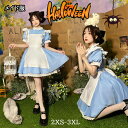 新登場 ハロウィン メイド服 女の子 レディース 子供 ワンピース フレンチ ゴシック フリルエプロン ヘアバンド付き コスプレ 大人女性用 青 ロリータ パーティー 舞台用 クリスマス ブラック ブルー 2XS-3XL