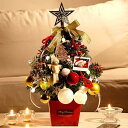 【楽天スーパーセール】ミニクリスマスツリー 45cm クリスマスツリー 卓上 小さめ ライト付き クリスマス インテリア クリスマス 屋外 ツリー 小型 卓上ツ...