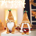 クリスマス人形 サンタクロース人形 飾り ぬいぐるみ 2個セット【2023限定クリスマス雑貨 】Christmasハンドメイド 置物 ドワーフクリスマス飾り ホリデーホームパーティー装飾 ミニドール おもちゃ 冬 雪 雰囲気満載 オーナメント クリスマスプレゼント