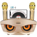 【楽天ス一パ一セ一ル】手持ちマイク2本セット Bluetooth カラオケマイク ワイヤレスマイク多機能 ノイズキャンセリング機能 スピーカーマイクセット 3色