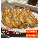 吟屋の大粒 肉餃子 冷凍 餃子 12粒 9パック 108粒入 通販 ギョウザ 業務用 焼き餃子 もちもち かりかり ジューシー