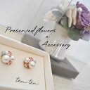 Preserved flower arrangement & accessory