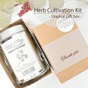 Herb Cultivation Kit - Original Gift box -