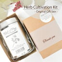 Herb Cultivation Kit - Original Gift box -【 バジル ハーブ 栽培キット キッチンガーデン イタリアンパセリ コリアンダー ミント 小さな栽培キット ハーブ ガーデニング 種 家庭菜園 ミニガーデン ナチュラル おしゃれ ギフト プレゼント 贈り物 プチギフト 記念品】