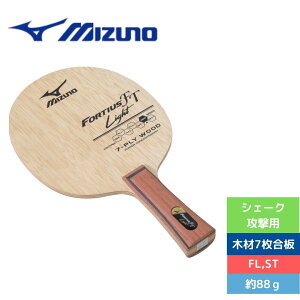 5/6ޤǡ3,000OFFݥ桪 饱å  ߥ եƥ FT light 83GTT61045 FL MIZUNO Ź