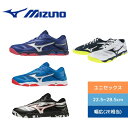 卓球 シューズ ユニセックス レディース メンズ ミズノ ウエーブメダル 6 81GA191514 【MIZUNO】 卓球専門店 クッション性 2E相当 その1