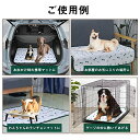 サイズ：100*67cm（2枚） ULIGOTA 洗える ペットシーツ 犬　猫用 おしっこマット ペットマット　下敷きマット 洗える　速乾 繰り返し使える 100*67cm　二枚セット 2