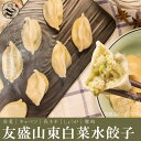 【送料無料】お買得12点セット(1ケース)友盛中国名点 山東白菜水餃子1kg(約50個入)×12点