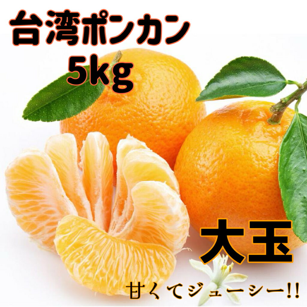 【送料無料】台湾産 高級椪柑 ポンカン5kg 台湾直入荷で新