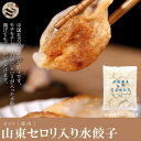 【送料無料】お買得12点セット(1ケース)友盛中国名点 山東セロリ入り水餃子1kg(約50個入)×12点 中華料理 人気商品 中国名物 業務用