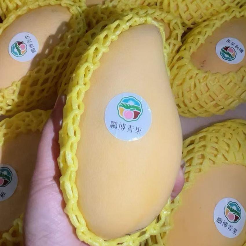 完熟タイ産 金マンゴー 4.5kg thai Mango 金芒果 厳選南国フルーツ お中元 父の日 贈答用果物 夏ギフト