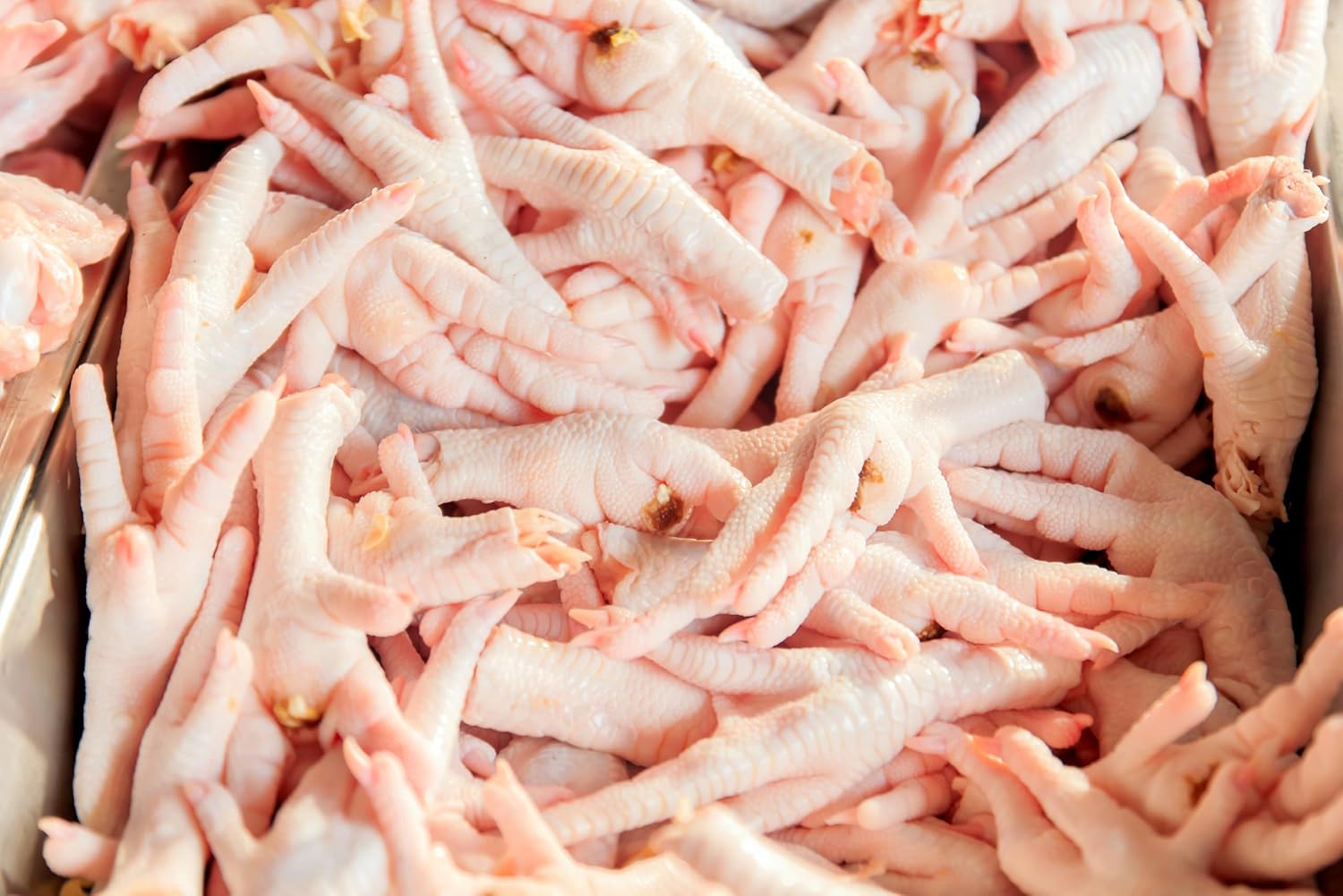 【送料無料】鶏足（もみじ）10Kg 【岩手県産】冷凍 業務用