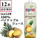 パイナップル ジュース 果汁100％ 1000ml×12本 ギリシャ産 無添加 パインアップル 紙パック 業務用 まとめ買い 濃縮還元 1L 送料無料