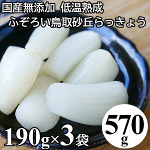 らっきょう 国産 鳥取 570g (190gx3袋) 無添加 低温熟成 ふぞろい らっきょう漬け ラッキョウ漬け 甘酢漬け 【送料無料】