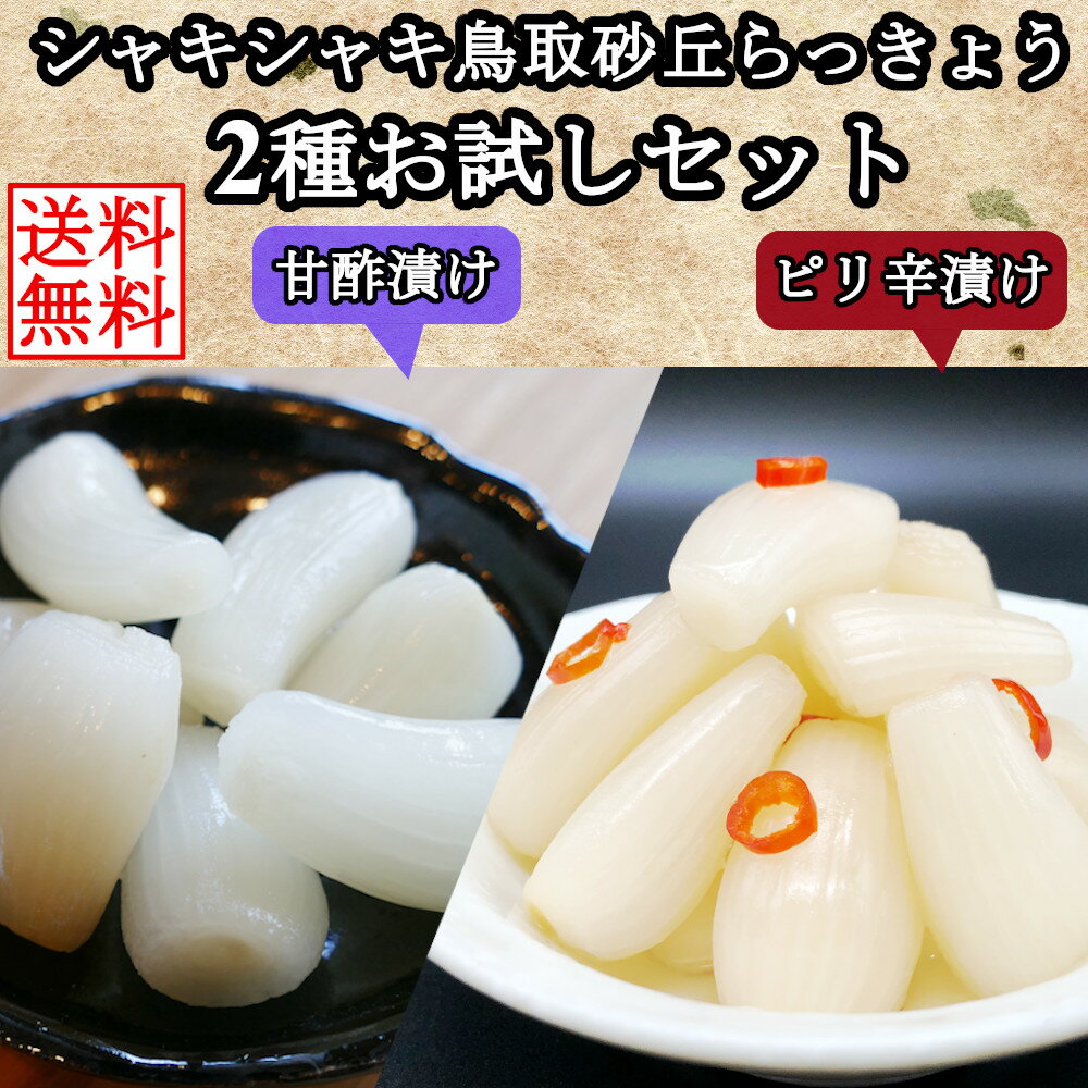 【6/4～6/11限定 店内買い回りで最大P10倍】 鳥取 らっきょう お試しセット 190g 2種 甘酢漬け＆ピリ辛 国産 ふぞろい 無添加 低温熟成 ラッキョウ漬け 甘酢漬け らっきょう漬け ラッキョウ 鳥…