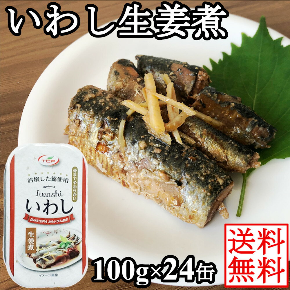 いわし 缶詰 生姜煮 100gx24缶 イワシ 鰯 缶詰め 業務用 まとめ買い 買い置き　備蓄　 おつまみ 缶詰 アテ 酒の肴 おつまみセット 【送料無料】