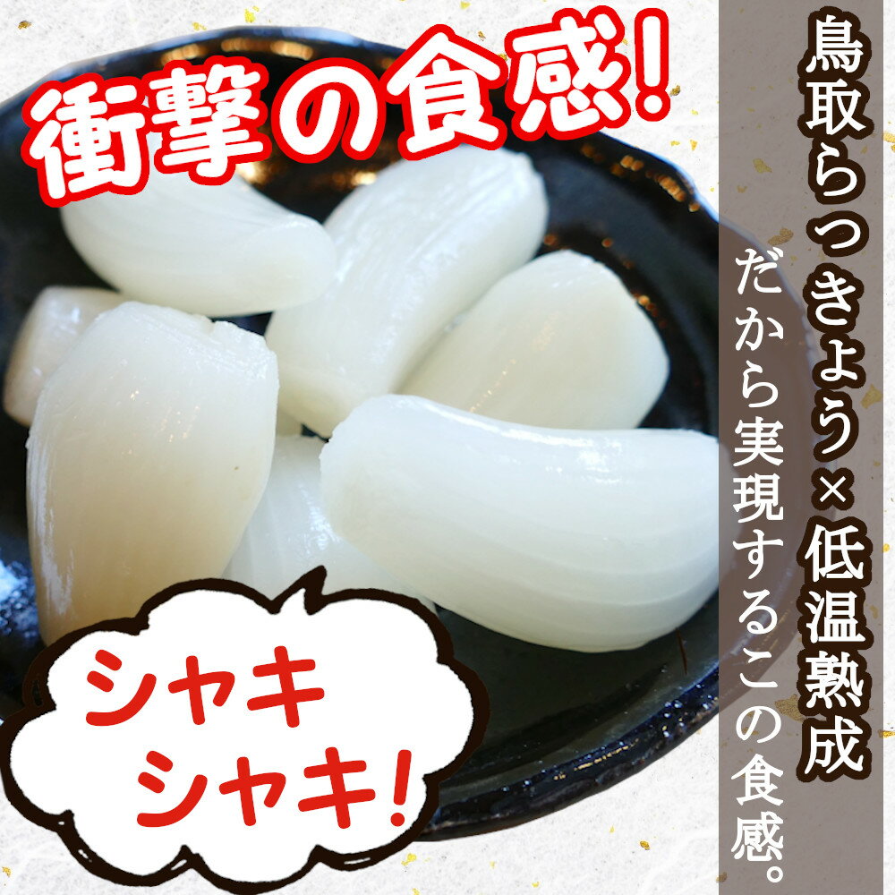 ふぞろい鳥取砂丘らっきょう甘酢漬け190gX2袋国産無添加低温熟成送料無料