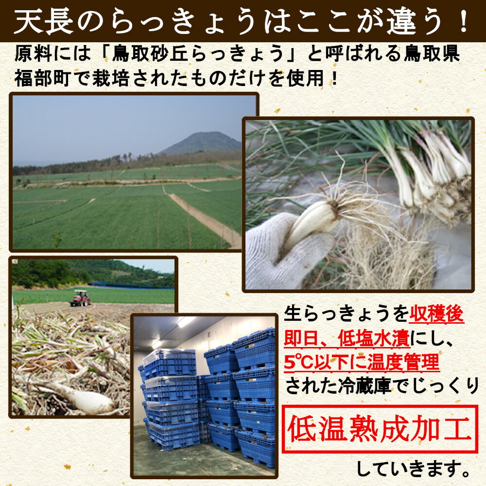 ふぞろい鳥取砂丘らっきょう甘酢漬け190gX2袋国産無添加低温熟成送料無料