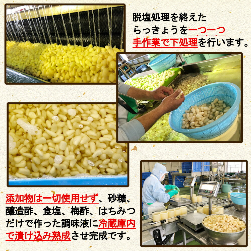 【3袋セット】ふぞろい鳥取砂丘らっきょう甘酢漬け190gx3袋国産無添加低温熟成送料無料