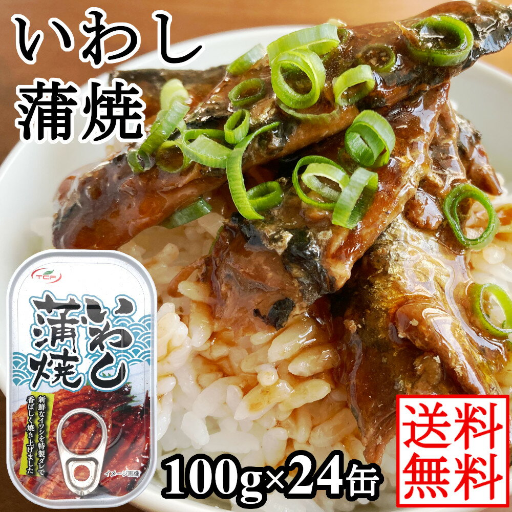 いわし 缶詰 蒲焼 100gx24缶 イワシ 鰯 まとめ買い 買い置き 備蓄 おつまみ 缶詰 アテ 酒の肴 おつまみセット 【送料無料】