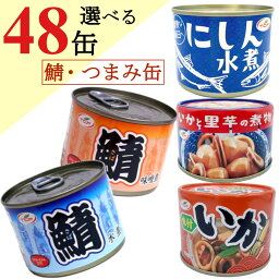 おつまみ缶 詰め合わせ 200gx48缶 （サバ 水煮 味噌煮 イカ味付） まとめ買い おつまみ 鯖 缶詰 アテ 酒の肴 おつまみセット【送料無料】