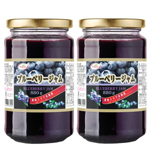 ブルーベリージャム 880gx2個 大容量 つぶ入り 業務用 【送料無料】