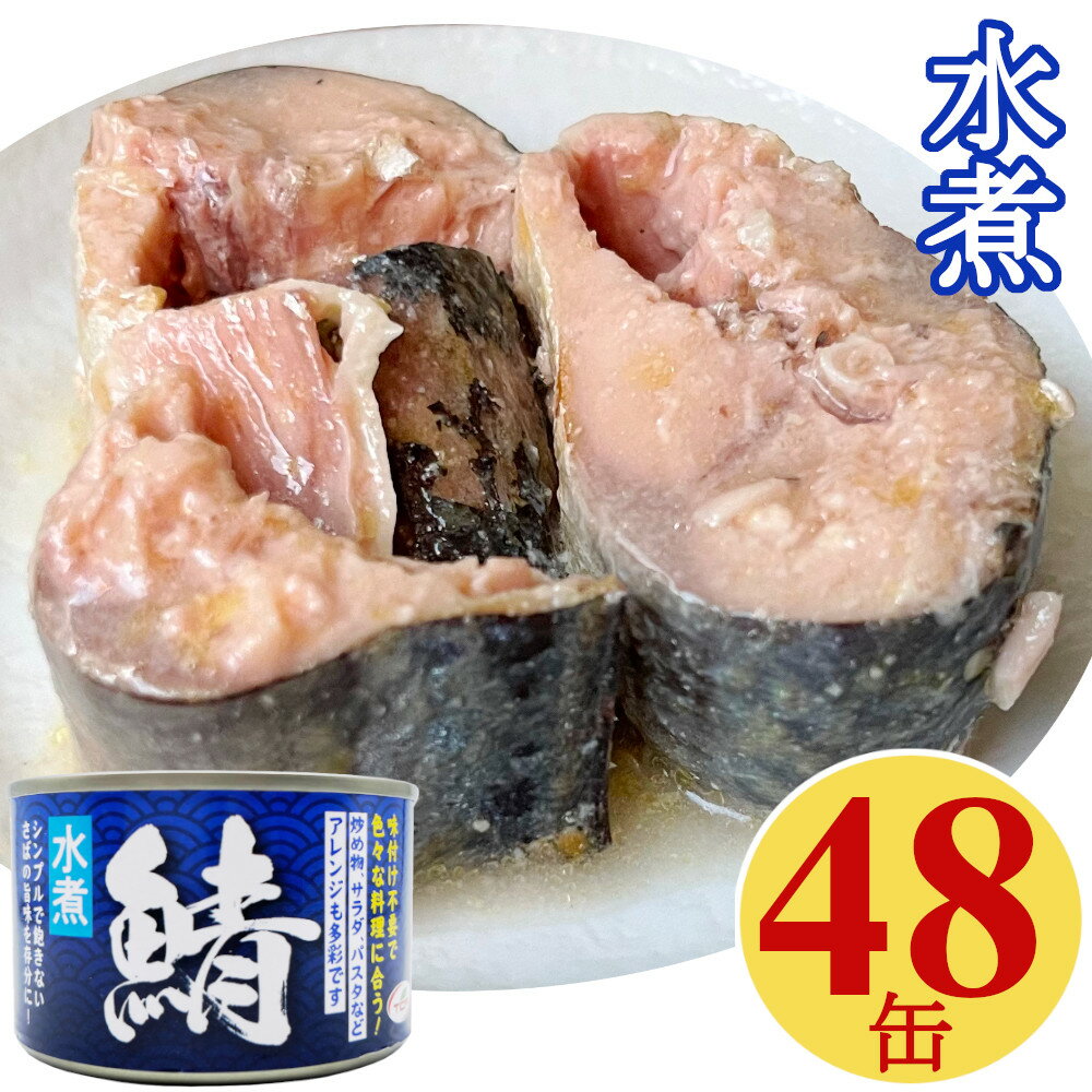 鯖缶 水煮 150gx48缶 サバ 缶詰 さば缶 さばかん 業務用 おつまみセット まとめ買い【送料無料】