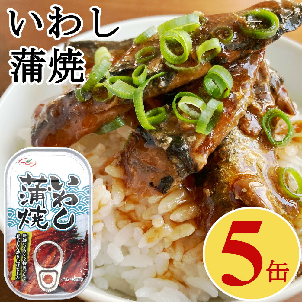 いわし 缶詰 蒲焼 100gx5缶 イワシ 鰯 まとめ買い 買い置き 備蓄 おつまみ 【送料無料】