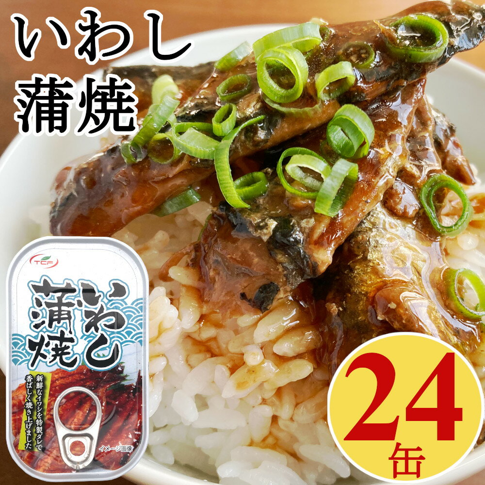 いわし 缶詰 蒲焼 100gx24缶 イワシ 鰯