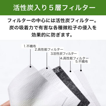 翌日発送 マスクフィルター 子供用 10枚 PM2.5 活性炭入り 5層構造 取替え 交換 花粉対策 飛沫防止 ウイルスカット 挿入式 在庫あり 子供 キッズ 小学生 送料無料
