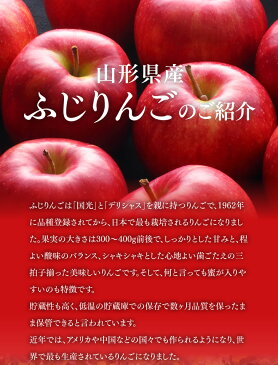 りんご ギフト 送料無料 サンふじ 秀品 約3kg(8〜12玉) JAてんどう共選品 ※一部地域は別途送料 お歳暮 t15