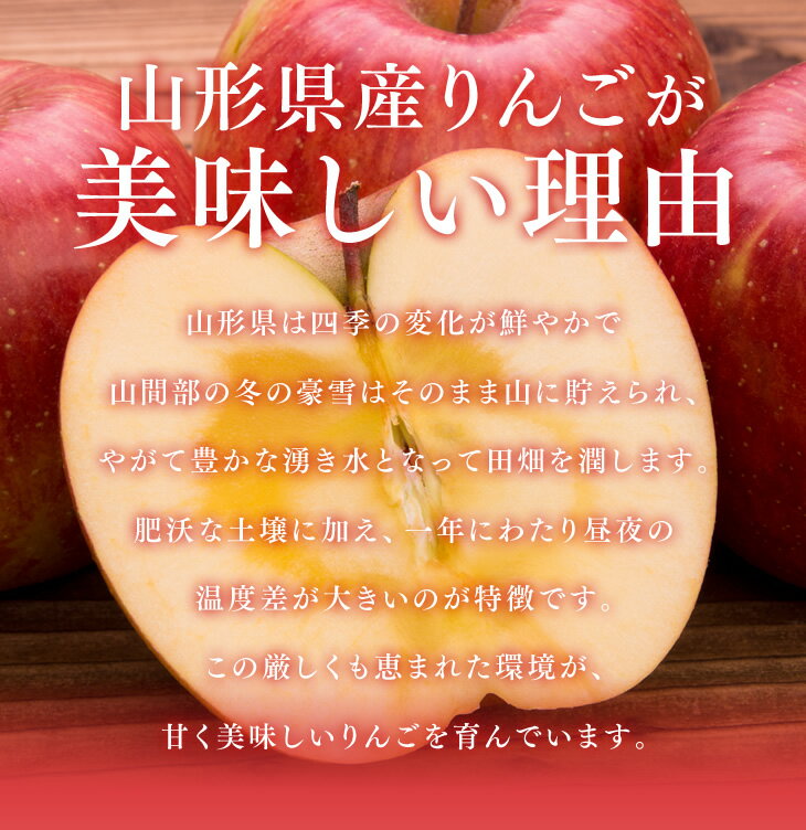 【予約商品】りんご 訳あり 10kg 送料無料 山形県産 サンふじ 約10kg玉数おまかせ) バラ詰め ※一部地域は別途送料追加 フルーツ 果物 果物 11月下旬より順次発送　ap13