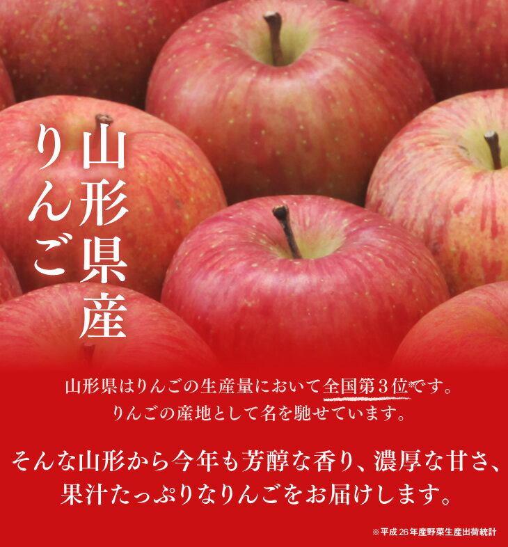 【予約商品】りんご 訳あり 10kg 送料無料 山形県産 サンふじ 約10kg玉数おまかせ) バラ詰め ※一部地域は別途送料追加 フルーツ 果物 果物 11月下旬より順次発送　ap13