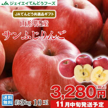 りんご ギフト 送料無料 サンふじ 秀品 約3kg(8〜12玉) JAてんどう共選品 ※一部地域は別途送料 お歳暮 t15